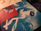 COCTEAU TWINS MILK AND KISSES ORIGINAL 1996 VINYL LP FONTANA ELIZABETH FRASER