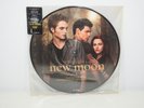 Twilight Saga New Moon Picture Disc Vinyl Record Hot Topic Exclusive 12