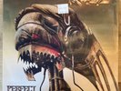 SEALED  RAGE - PERFECT MAN LP 1988 NOISE INTERNATIONAL US ORIGINAL