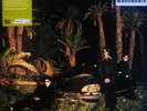 Echo And The Bunnymen - Evergreen LP GREEN of 1000 new unsealed post punk rock