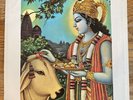 Radha Krishna Temple Govinda Apple 1821 w/RARE PS  Beatles George Harrison