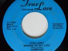 45 Modern Soul COMPASS (You Are) Spring Of My Life TRUE LOVE HEAR