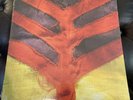 Yeah Yeah Yeahs - Show Your Bones [New Vinyl LP]