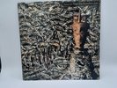 Siouxsie And The Banshees JuJu Pols 1034 Vinyl LP 1981 Rare Version Read Below