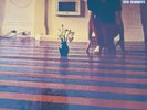 Vinyl records- albums-Syd Barrett-The Madcap Laughs