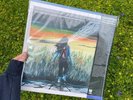 Modest Mouse : Lonesome Crowded West Vinyl (Record, 2014) Brand New