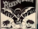 The Roots - Rising Down 12” Vinyl Double LP - Near Mint