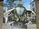 SWERVEDRIVER Vinyl LP Mezcal Head 1993 Creation Records UK Autographed original