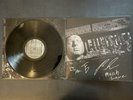 New The Front Bottoms SIGNED In Sickness & In Flames Vinyl Ann Rose Grey Hawk LP