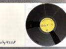 OINGO BOINGO Dead Man's Party vinyl LP test pressing #2 2023 Danny Elfman