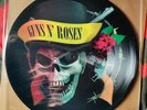 GUNS AND ROSES PICTURE DISC  SKULL AND BONES