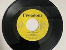 FREEDOM 45 Cant You See/Sunshine PRIVATE PRESS ms modern soul boogie rare NICE