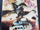 LEGEND LP  Bell PROMO RARE 1969 ACID ROCK PSYCHEDELIC PROG ORIGINAL