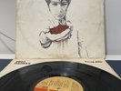 PINO DANIELE- TERRA MIA- LP - Stampa 1977 vg/vg