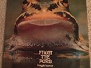 Froggie Beaver - From The Pond LP - Froggie Beaver - Private Prog Psych VG+