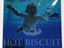 Nirvana - Nevermind - MOFI MFSL Mobile Fidelity - Vinyl 200G - LOW #139 OOP RARE