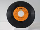45 RECORD - THE INDIGOS - SERVANT OF LOVE