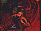 Afghan Whigs, The - Congregation Loser Edition (Vinyl 2LP - 1992 - US - Reissue)