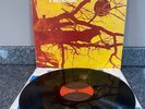 VINYL LP WISHBONE ASH PILGRIMAGE UK 1ST PRESS Gatefold, Red/Brown Dogbone EX-/EX