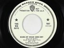 Northern Soul 45 - Big Guys - Hang My Head And Cry - Warner Bros. - VG+ mp3