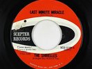 Northern Soul 45 - Shirelles - Last Minute Miracle - Scepter - mp3