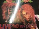 guns n roses live like a suicide 924198-1