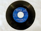 Rare 1967 Sterling The Sands Of Time – So Hard To Forget You/Got My Mojo - 1081
