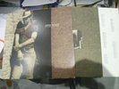 CALVIN RUSSELL - A Crack in Time, New Rose 209,  LP von 1990