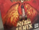 Rize of the Fenix Tenacious D - 2012 Vinyl Fantastic Near Mint condition