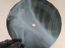 WILSON PICKET BORN TO BE WILD X-Ray USSR Record Roentgen Bones Ribs Music Vinyl