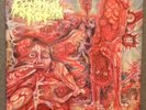 Cerebral Rot-Excretion Of Mortality LP, Dismember, Cannibal Corpse, Death Metal