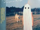 Phoebe Bridgers Stranger In The Alps 5th Anniversary Galaxy Vinyl LP