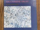 Saccharine Trust Worldbroken US 1985 SST Records Vinyl VG+/NM Mike Watt - Live