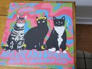 We Are Scientists With Love and Squalor Live in Woodstock 1969 LRSD Green vinyl 