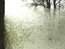Bon Iver - For Emma, Forever Ago Vinyl 12