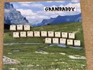 Grandaddy - The Sophtware Slump LP Vinyl Reissue Remastered NM/ NM