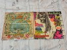 Rob Zombie - The Electric Acid Witch GF LP 2016  Vinyl Record