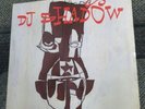DJ Shadow / Preemptive Strike 12