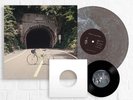 The Backseat Lovers - When We Were Friends Vinyl - Smog Colored + 7