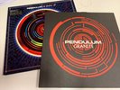 Pendulum - In Silico 12” EP Granite D&B Vinyl Breakbeat 2 X Records Warner 2007
