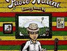 Sunny Side Up by Paolo Nutini LP NEW