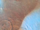 vinyl records albums-Pink Floyd-Meddle-(1971)-SHVL 795 VGC+