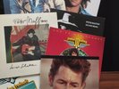 Peter Maffay - 15 Original LP Vinyl - Steppenwolf Erfolge Revanche Caramboulage