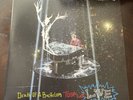 PANIC  AT THE DISCO ALL MY FRIENDS, WE'RE GLORIOUS LIVE TOUR VINYL RECORD ALBUM