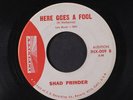 SHAD PRINDER & GROUP: here goes a fool / willow tree INFINITY 7