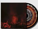 The Reytons - What's Rock And Roll (Zoetrope) - Vinyl LP