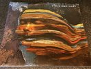 BJORK-BASTARDS-UK 2012 1ST PRESS VINYL 2LP-tplp1178-NEW & SEALED