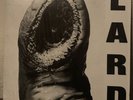 Lard - Power of Lard - Vinyl 12