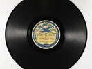 Prewar C&W 78 - Mississippi Possum Hunters - Possum On Rail - Bluebird Canada