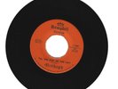 GARAGE 45 RPM - MISHAP'S ON HEMPHILL RECORDS 